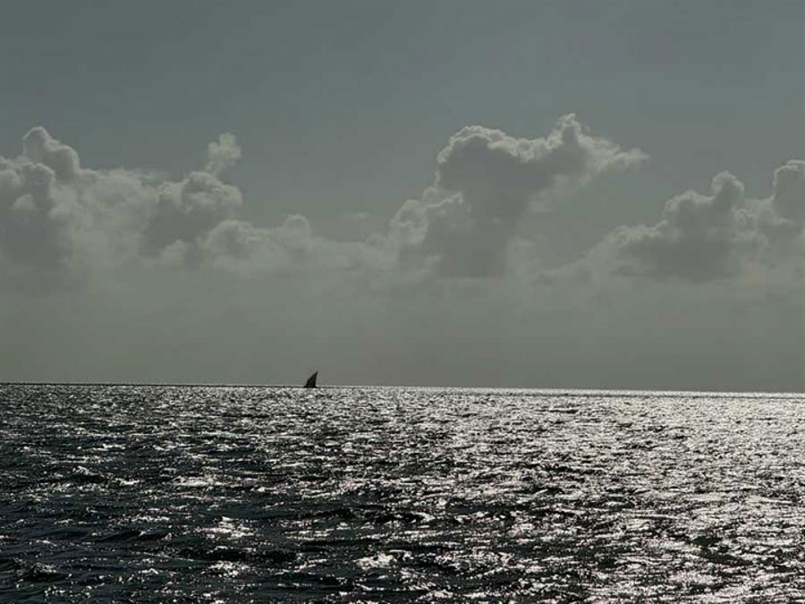 Early morning Sailing around the island
