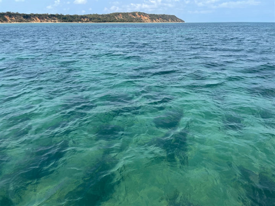 Snokelling Sites Inhaca Island