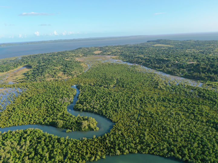 Image Island and Lighthouse Tour page link