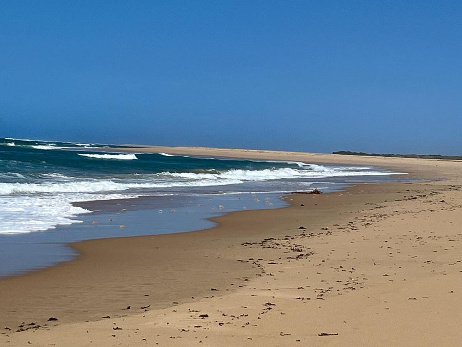 Portuguese Island Beach 4