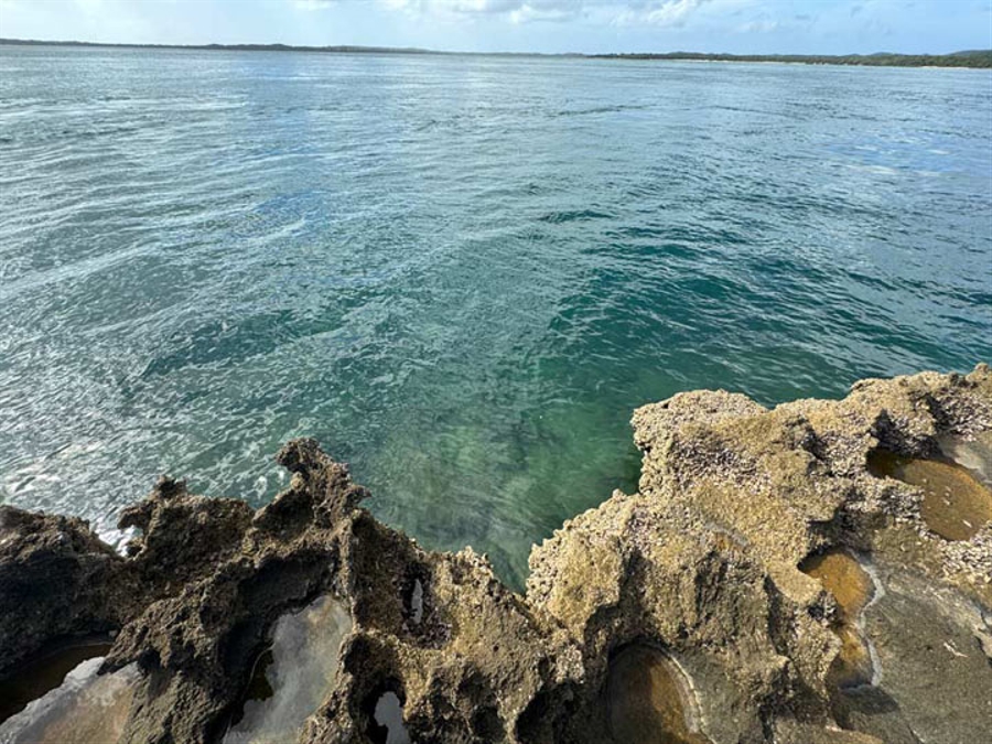Snorkelling Sites Inhaca Island 7