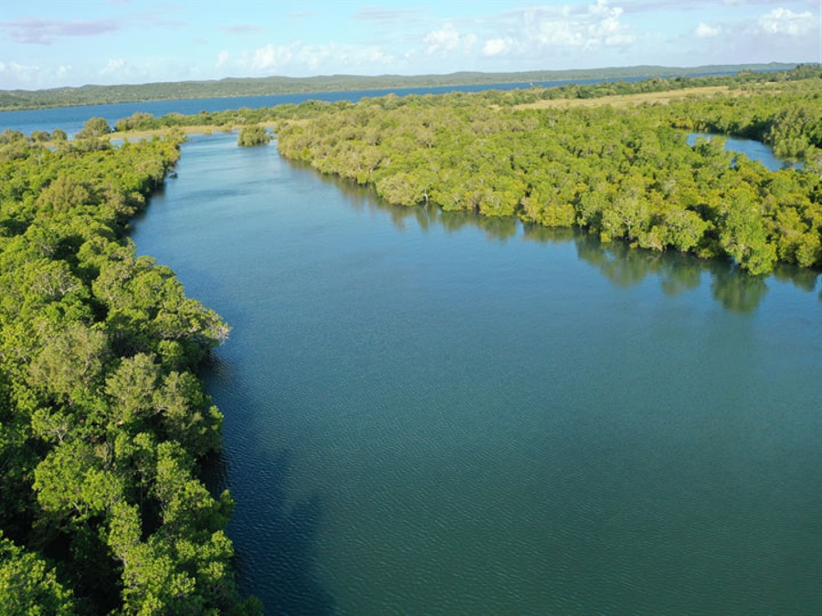 Inhaca Estuary and Mangroves
